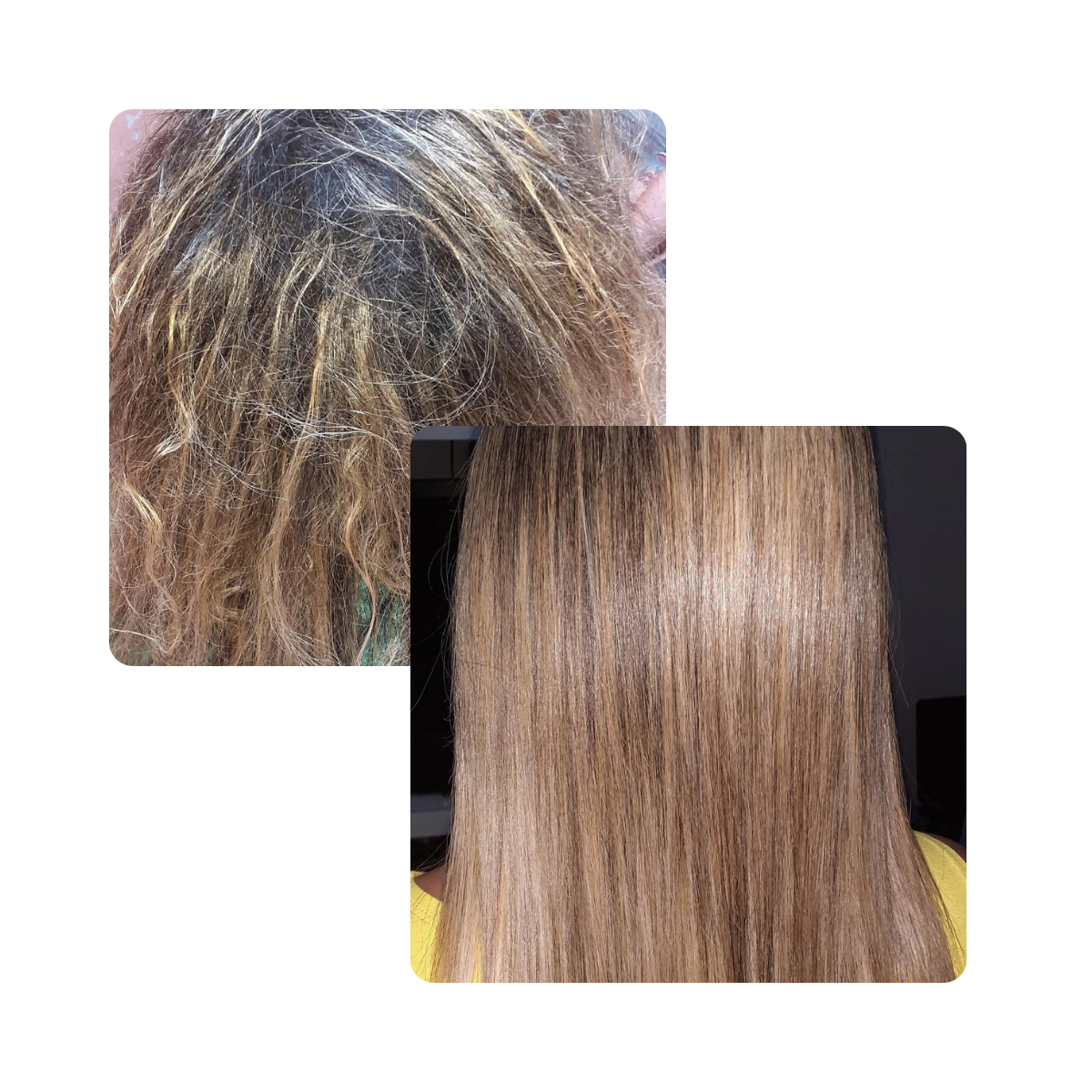 Resultado Florianópolis